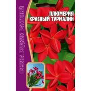 Плюмерия Красный Турмалин 3 шт (Ред.Сем.)